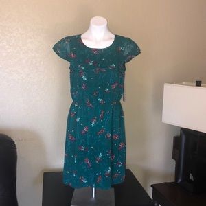 Dress size Large